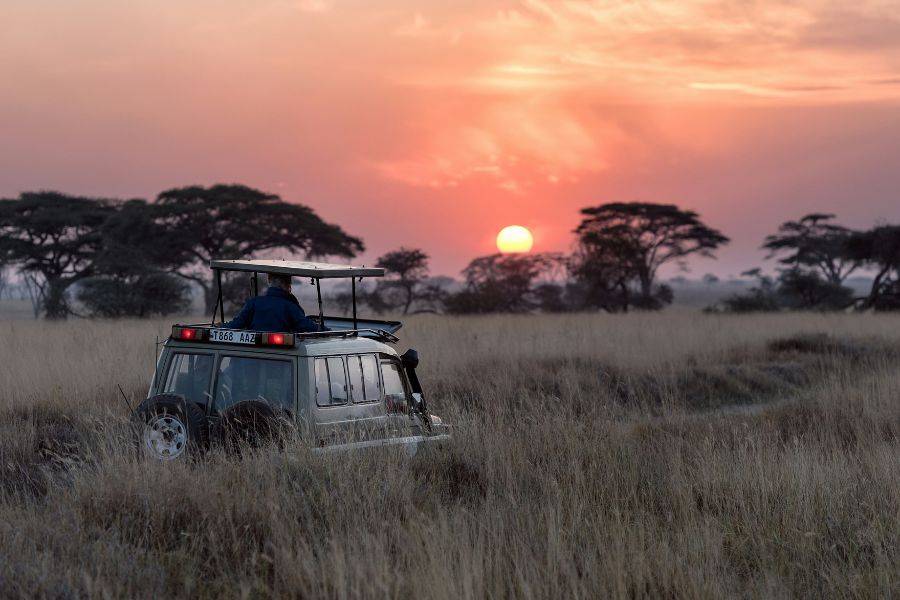 © Unsplash Safari-Fahrzeug in der afrikanischen Savanne bei Sonnenuntergang – Pirschfahrt durch Graslandschaft mit Akazienbäumen in Südafrika.