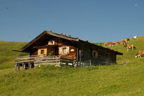 NAP-SBG Lofer Hütte/Hut 8 Pers.