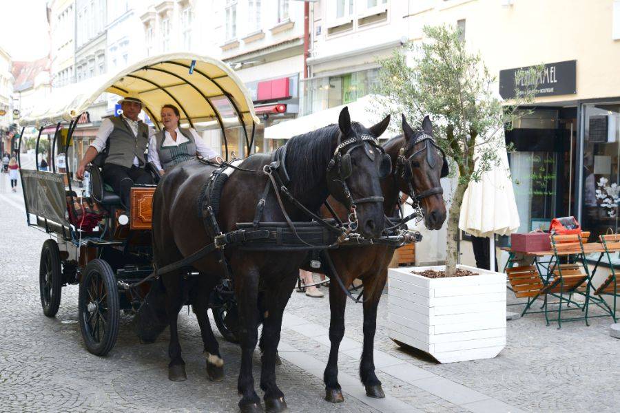 „Fiakerkulinarium“ – Genussfahrt durch die Weingärten