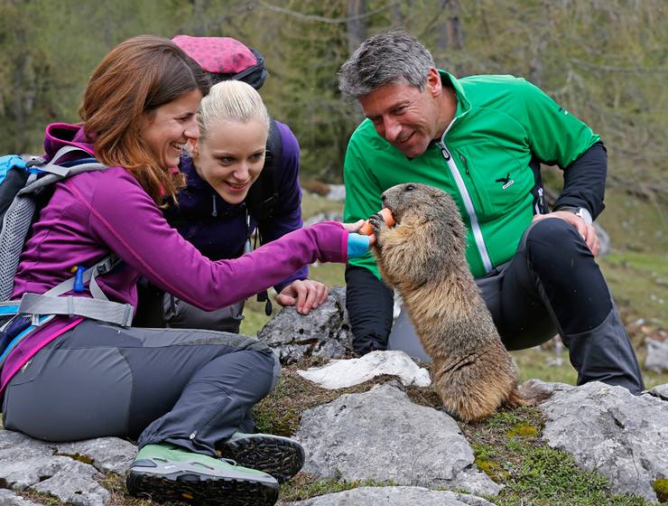 Gletscher, Murmeltiere & Wasserwelten