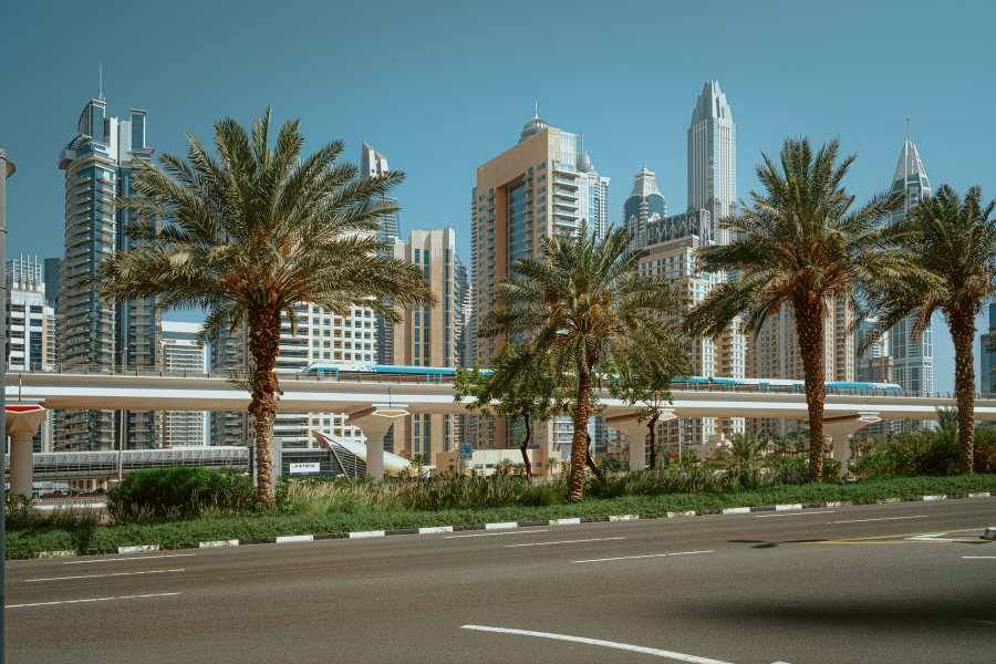 Palmen gesäumte Straße mit futuristischer Skyline im Hintergrund.