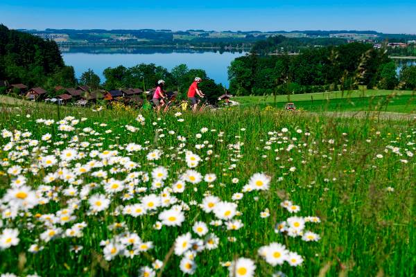Salzburger Seen Tour