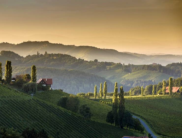 Genussreise Steiermark (Düsseldorf)
