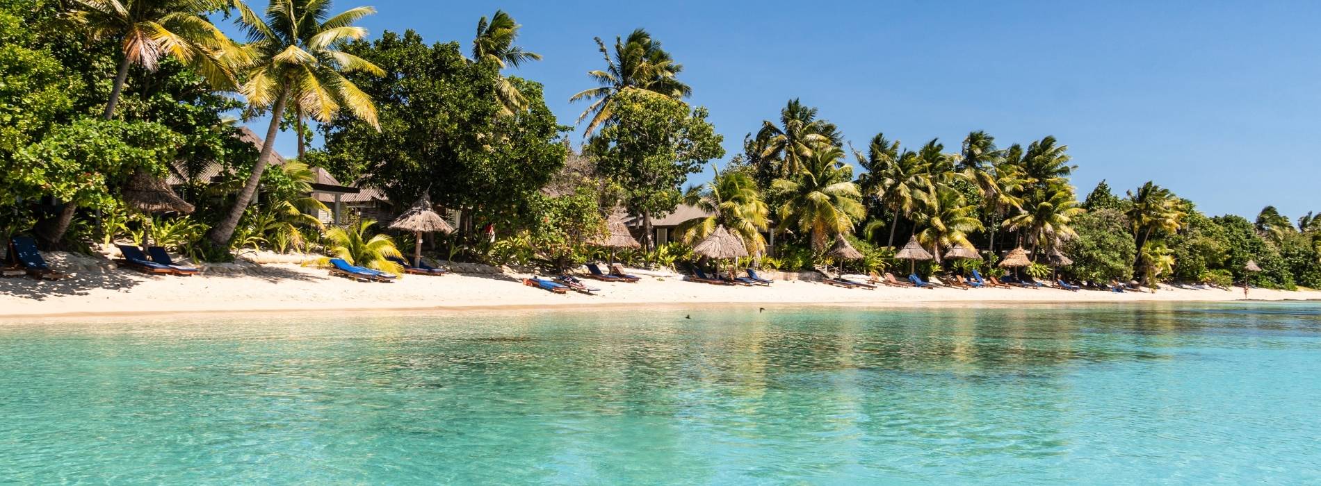 Tropischer Sandstrand mit Palmen, Sonnenschirmen und klarem Wasser in Fidschi