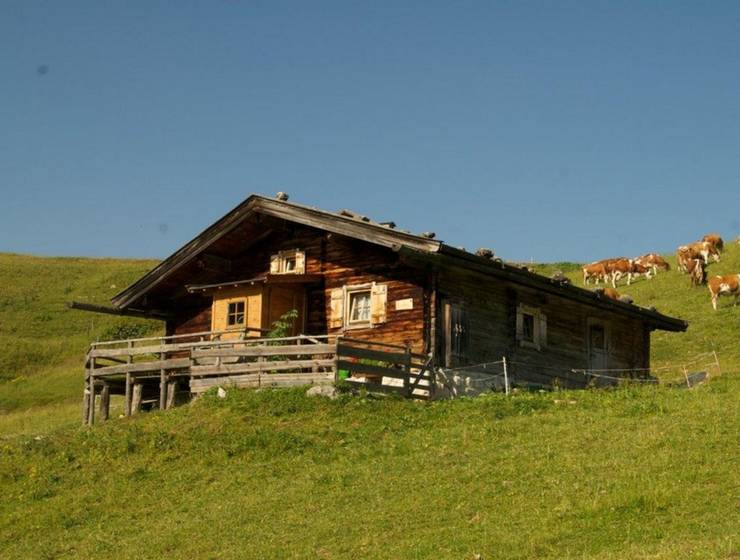 NAP-SBG Lofer Hütte/Hut 8 Pers.