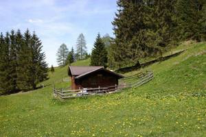 NIG-SBG Rauris Hütte/Hut 4-6 Pers.