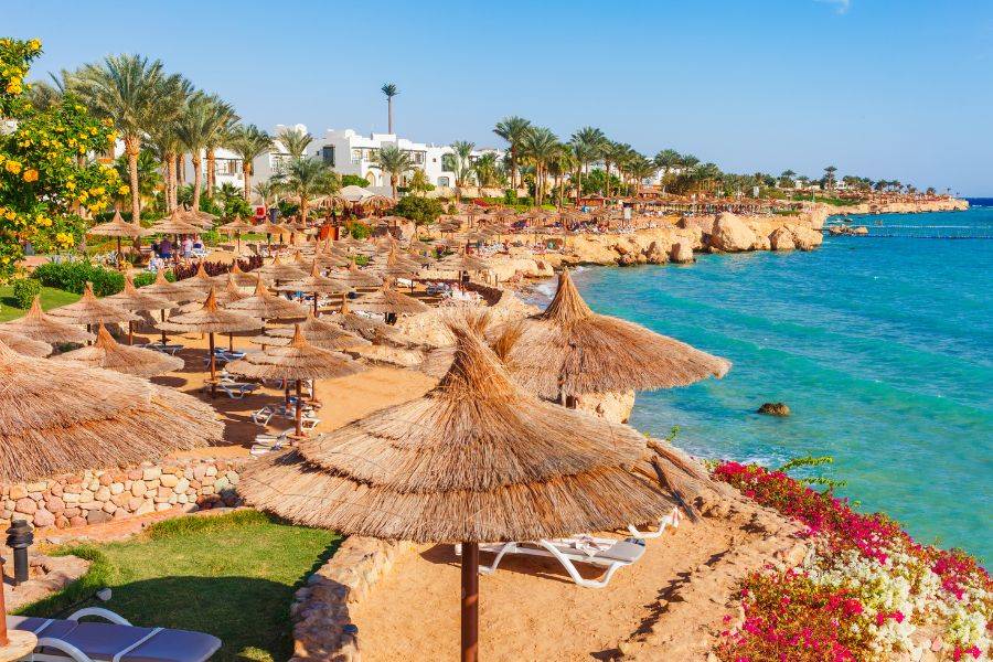 Urlaubsstrand in Hurghada mit strohgedeckten Sonnenschirmen, Liegestühlen und tropischer Vegetation direkt am Roten Meer.