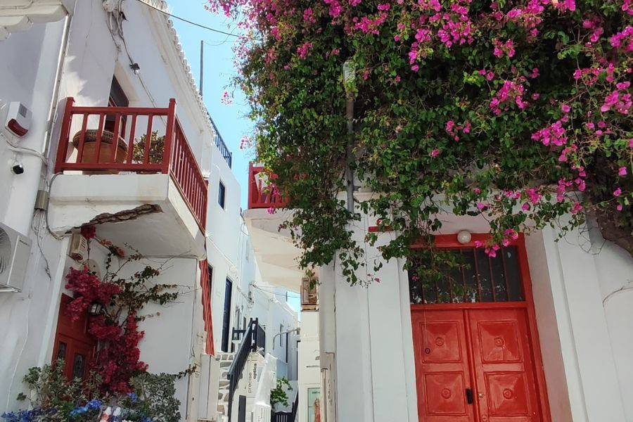 Romantische Gasse auf Mykonos mit blühender Bougainvillea und traditionellen weiß-roten Häuserfassaden.