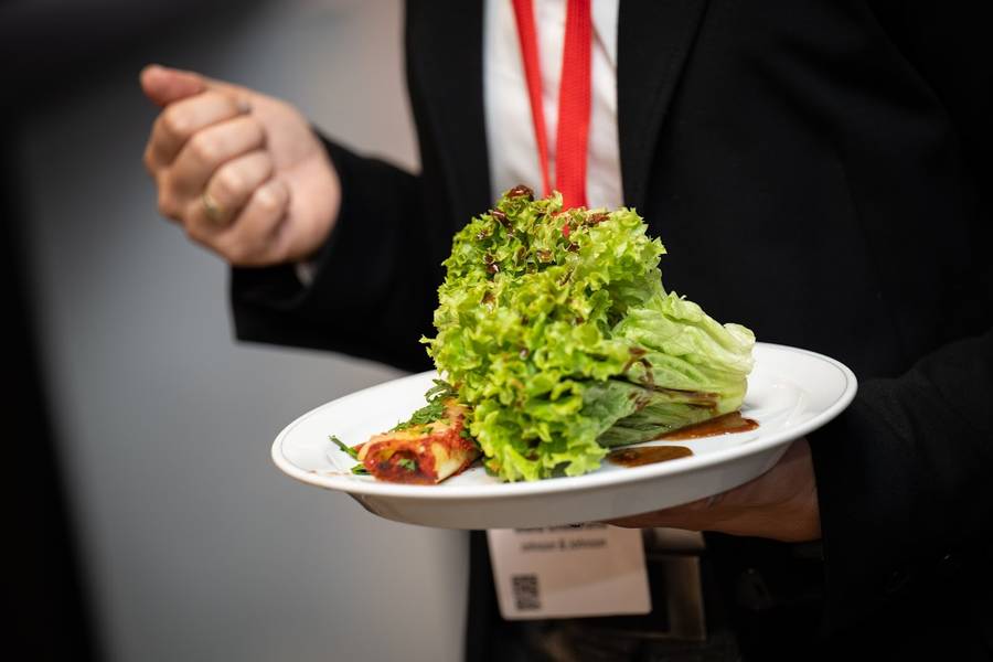 Food Plate with lunch