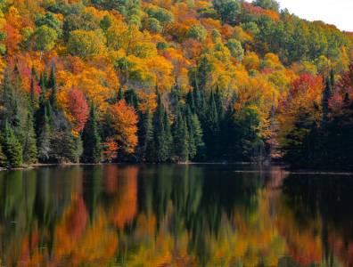 Herbstlandschaft in Kanada mit bunten Wäldern am See während des berühmten Indian Summer