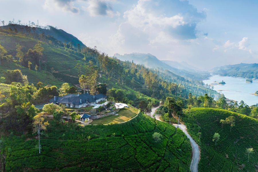 Uga Halloowella im grünen Hochland Sri Lankas mit Teeplantagen, Hügeln und Blick auf die umliegende Natur.