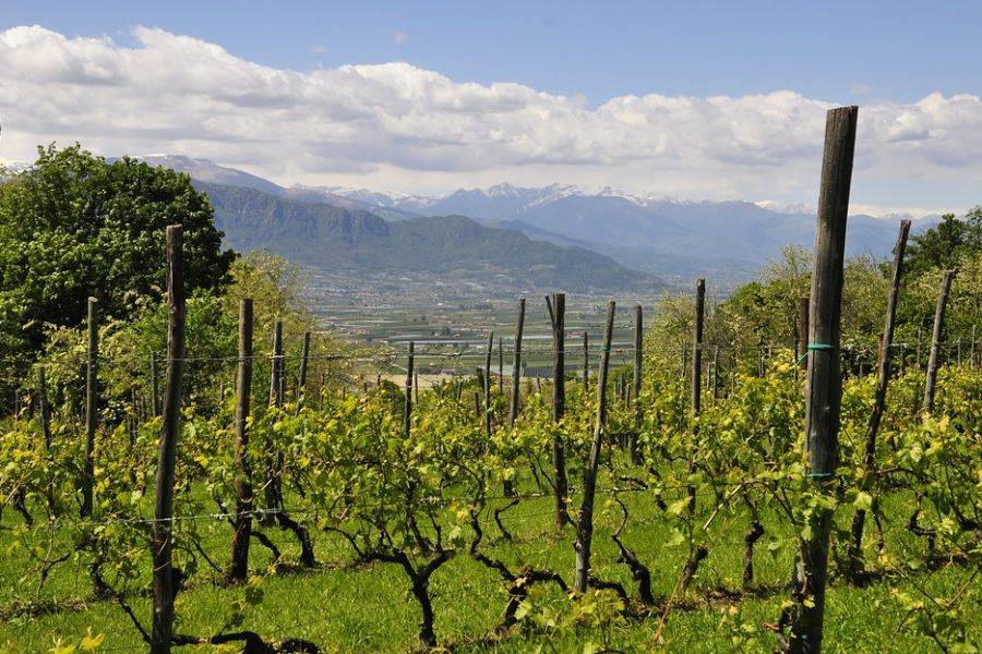 Piemont – norditalienische Region der Spitzenweine & preisgekrönter Gastronomie