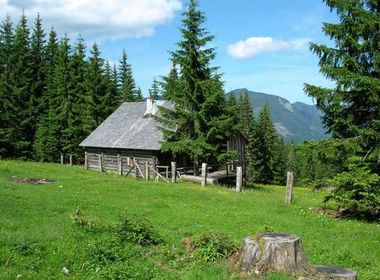 GAM-OOE Gosau Hütte/Hut 10 Pers.