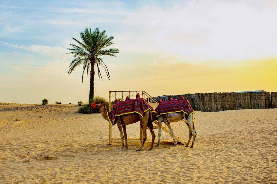 Dubai und Oman: ein Reiseabenteuer zwischen Moderne und Tradition