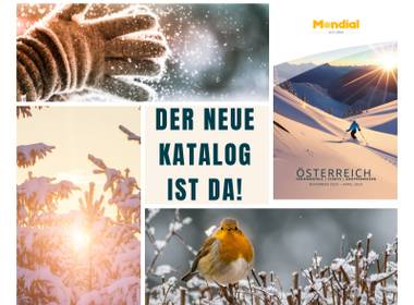 © Canva
