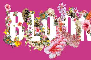 Universal-Museum Joanneum