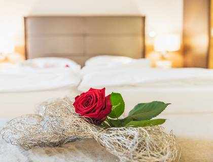 Kuschelbär Wochenende 