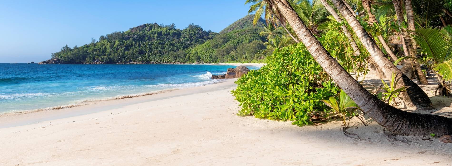 Palmengesäumter Sandstrand auf Jamaika mit Hängematte, türkisfarbenem Meer und grüner Küste.
