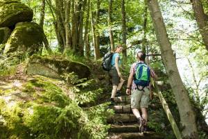 © OÖ Tourismus Gmbh/Ralf Hochhauser Der Donausteig von Passau nach Linz