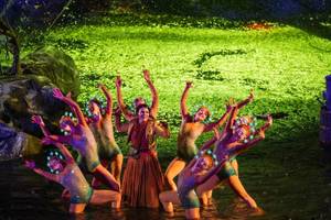 Bregenzer Festspiele Package - La Traviata