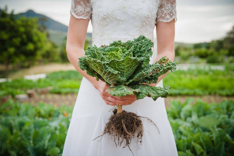 Braut in weißem Kleid hält frischen Wirsingkopf mit Wurzel statt eines klassischen Brautstraußes, im Hintergrund ein grünes Feld.