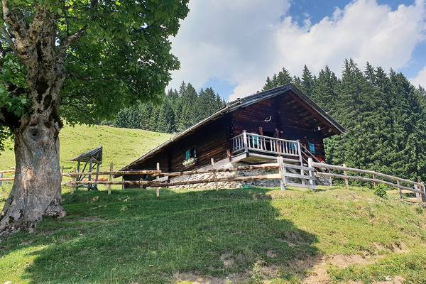 © Almliesl SAS-AAL Saalbach Hinterglemm Hütte bis 5 Pers.