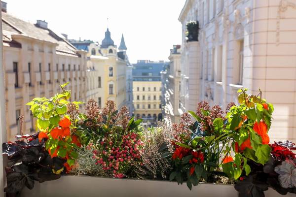 Boutiquehotel Das Tyrol - Hotel am Museumsquartier ****