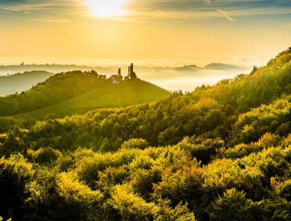 Genussreise Steiermark - ab Frankfurt