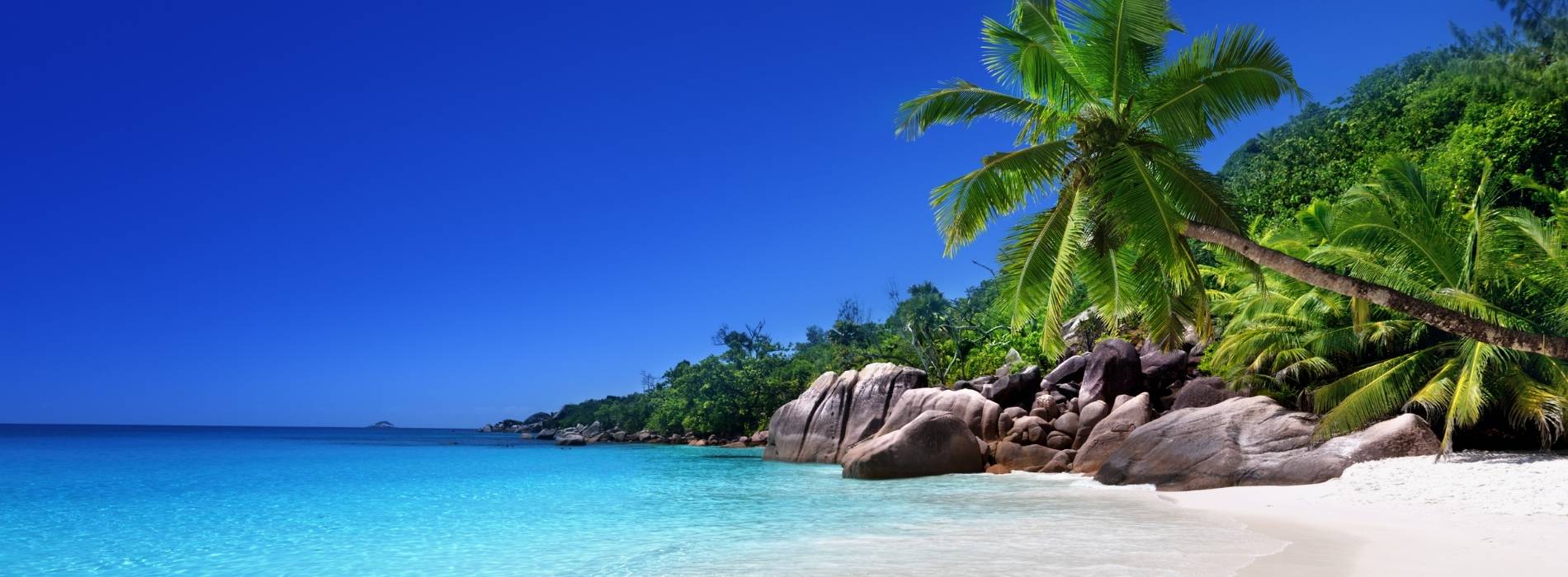 Tropischer Strand mit Palmen, Felsen und türkisblauem Meer unter klarem Himmel