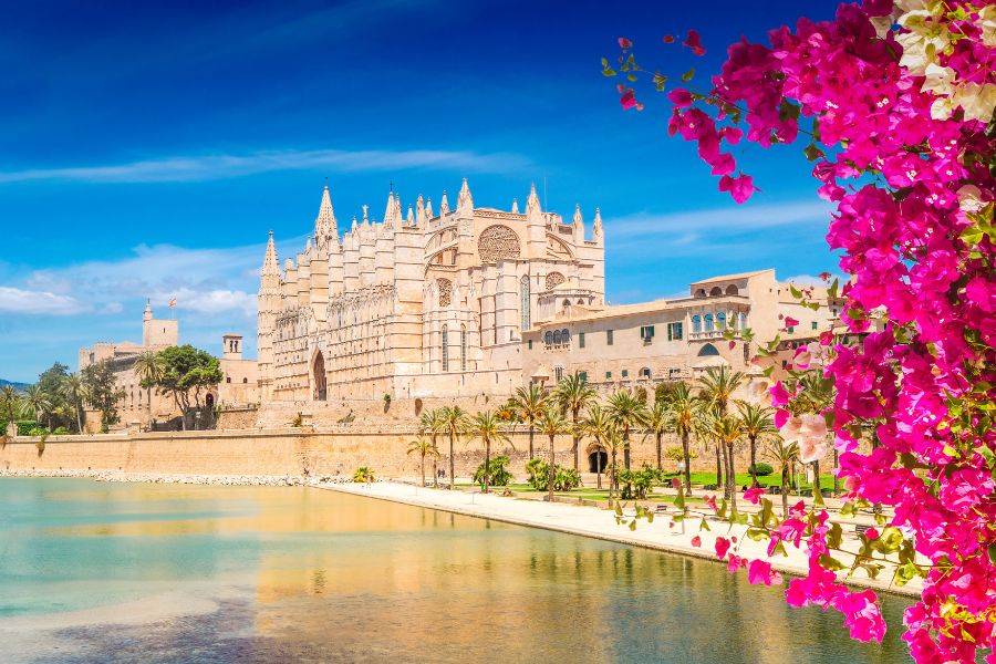 Kathedrale von Palma de Mallorca mit Palmen, Wasserbecken und pink blühender Bougainviella