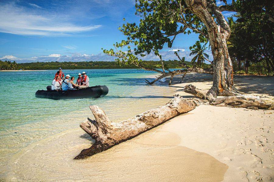 Expeditionsteilnehmer erreichen mit einem Zodiacboot einen tropischen Strand mit Palmen und türkisfarbenem Wasser