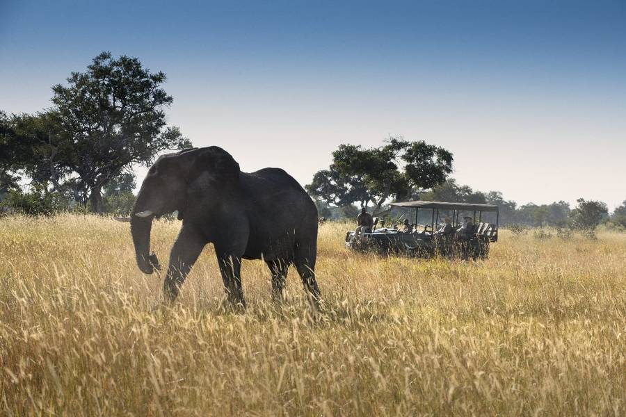 Safari &Beyond Okavango Delta