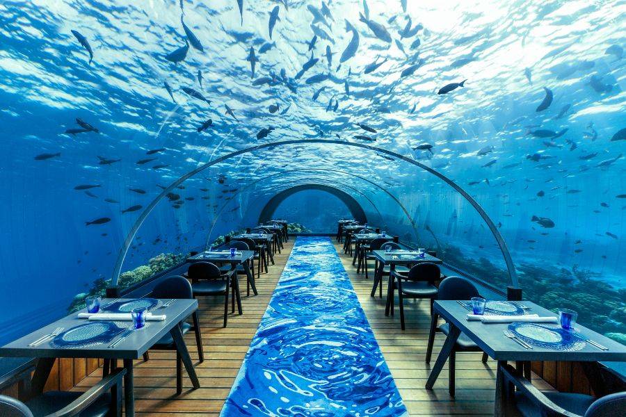Ein beeindruckendes Unterwasser-Restaurant mit einer gläsernen Kuppel, das einen 360-Grad-Blick auf die Meereswelt bietet. Die Tische sind elegant gedeckt, und Fische schwimmen direkt über den Gästen. 