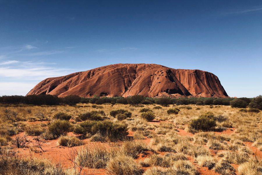 Roter Monolith Uluru im Outback von Australien, umgeben von Buschlandschaft und rotem Sand unter klarem Himmel