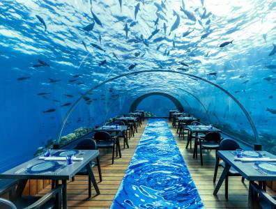 Ein beeindruckendes Unterwasser-Restaurant mit einer gläsernen Kuppel, das einen 360-Grad-Blick auf die Meereswelt bietet. Die Tische sind elegant gedeckt, und Fische schwimmen direkt über den Gästen. 