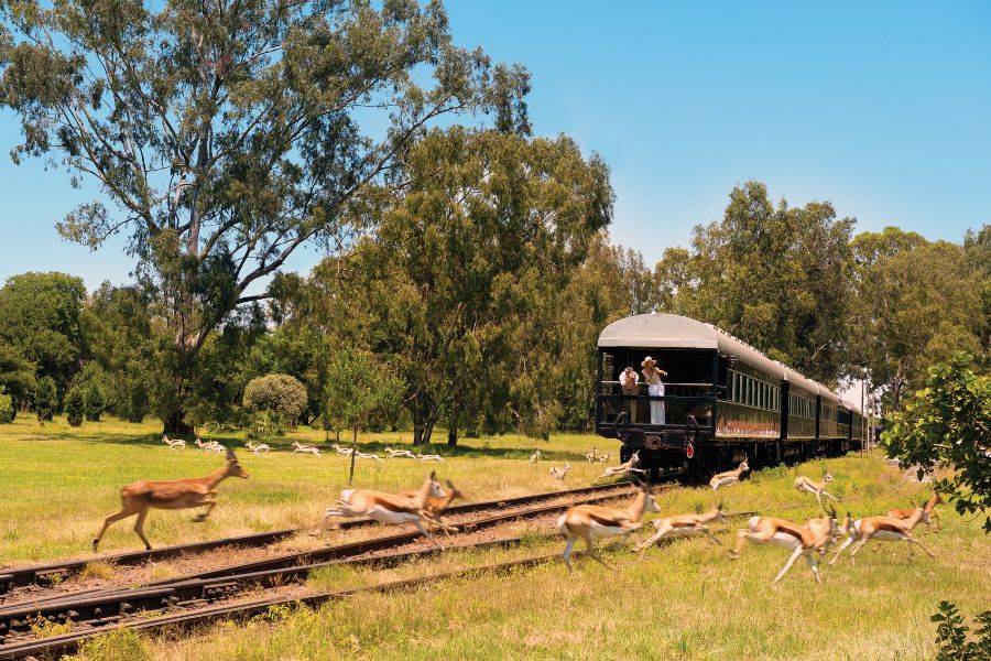 Mit Rovos Rail durch Afrika