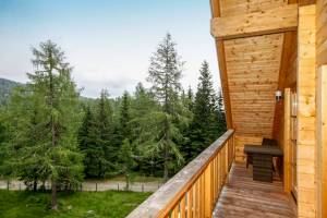 © Interhome KAS-HGA Sirnitz-Hochrindl Hütte bis 8 Pers.