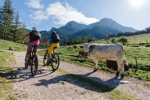 Mountainbiking in the Salzkammergut region