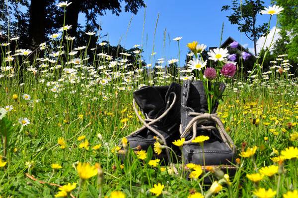 © sonne Fleckl - fotolia.com 1 night for free at Hotel DER Waldhof