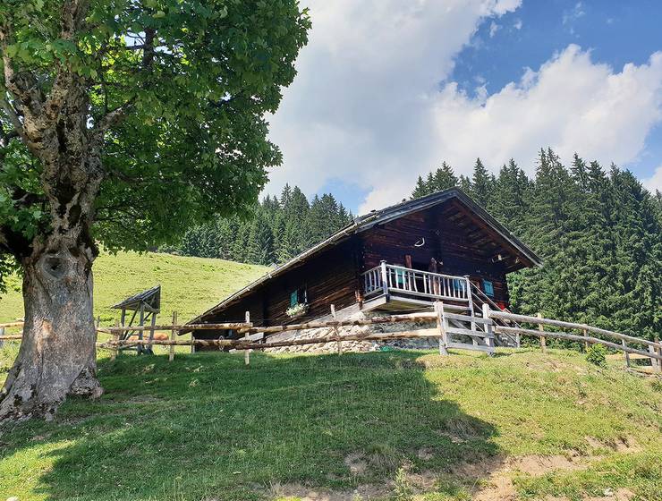 SAS-AAL Saalbach Hinterglemm Hütte bis 5 Pers.