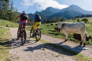 © Salzkammergut Tourismus/Katrin Kerschbaumer Mountainbiken im Salzkammergut