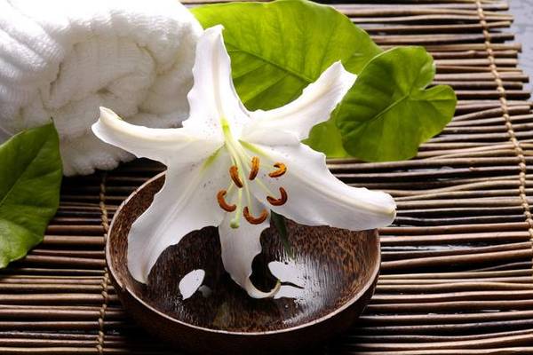 © Mee Ting - Fotolia.com Anti Stress Programm