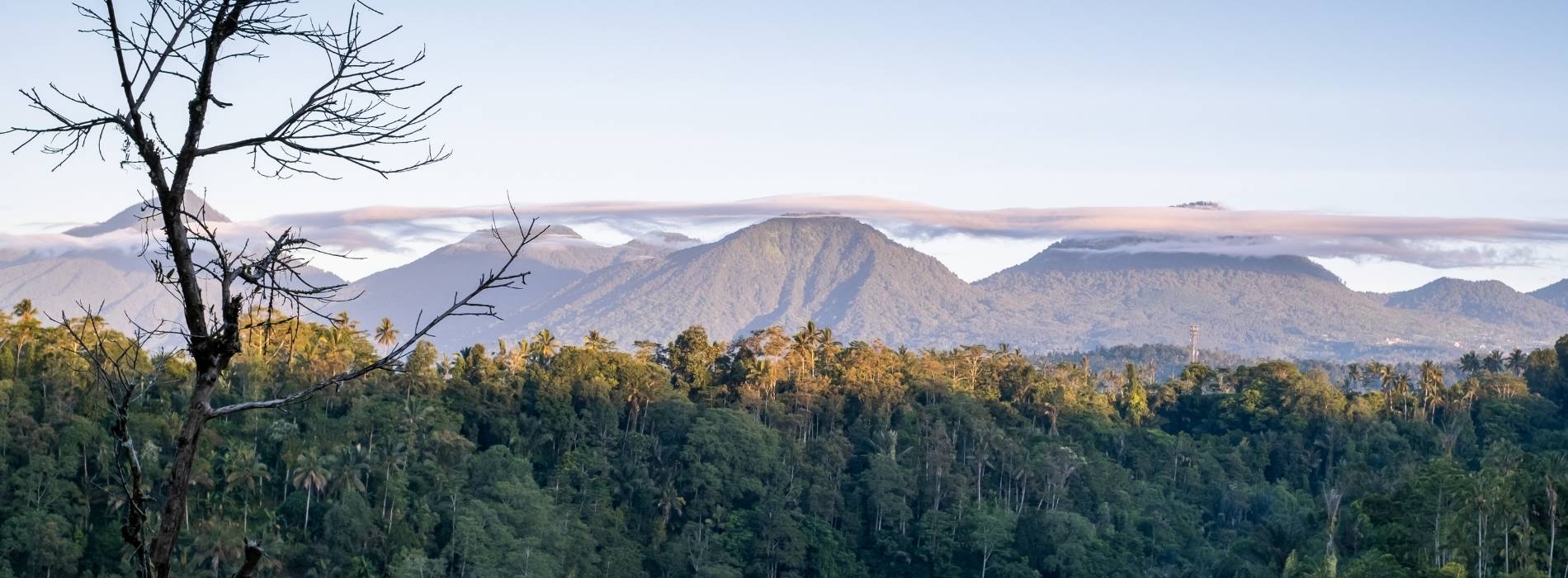 Landschaft mit Wäldern und Bergen
