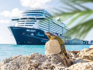 Leguan auf Felsen mit Mein Schiff Kreuzfahrtschiff im Hintergrund in der Karibik