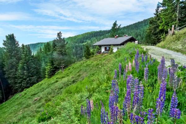 KAS-ILO Sirnitz Hütte bis 6 Pers.