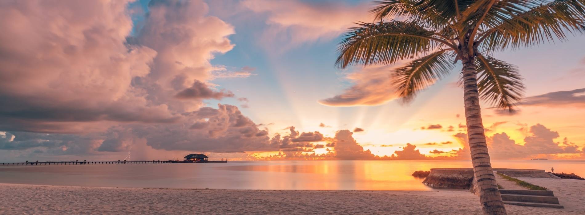 Palmenstrand bei Sonnenuntergang mit ruhigem Meer und warmem Licht