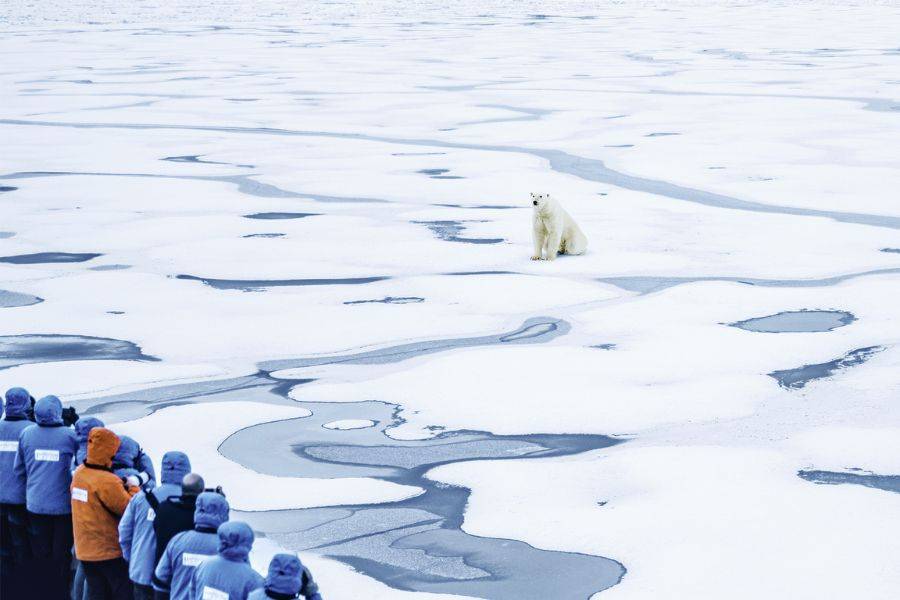 Eisbär steht auf einer arktischen Eisfläche, während Expeditionsgäste ihn aus der Ferne beobachten