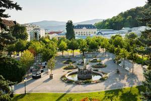 Culinary journey to the Vienna Woods - from Frankfurt
