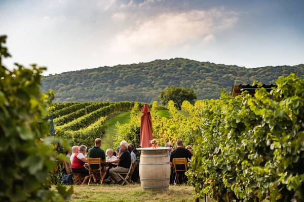Culinary journey to the Vienna Woods - from Frankfurt
