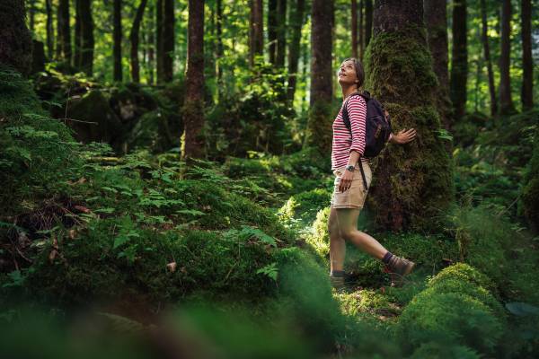 © Österreich Werbung/Sebastian Stiphout Salzkammerweg